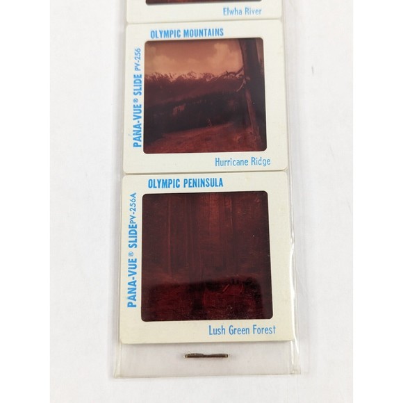 Vintage GAF Pana-Vue Slides Olympic Peninsula Washington State Lot of 5 PV114 - Picture 7 of 11